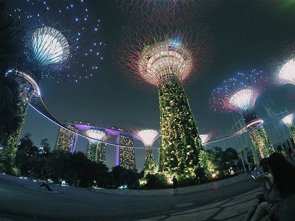 Singapore’s Gardens by the Bay – Not So Mid-Life Crisis